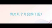 博美几个月变猴子脸