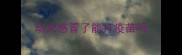 幼犬感冒了能打疫苗吗