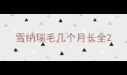 雪纳瑞毛几个月长全