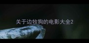 关于边牧狗的电影大全