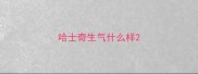 哈士奇生气什么样