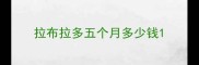 拉布拉多五个月多少钱