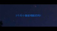2个月小猫能喝酸奶吗