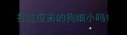 打过疫苗的狗细小吗