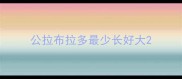 公拉布拉多最少长好大