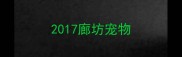 2017廊坊宠物