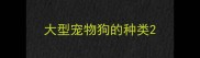 大型宠物狗的种类
