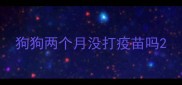 狗狗两个月没打疫苗吗