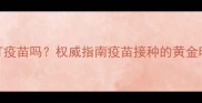 小猫生病后能打疫苗吗权威指南疫苗接种的黄金时机与注意事项