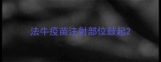法牛疫苗注射部位鼓起