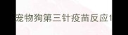 宠物狗第三针疫苗反应