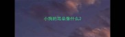 小狗的耳朵像什么