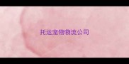 托运宠物物流公司