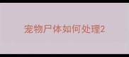 宠物尸体如何处理