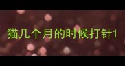 猫几个月的时候打针