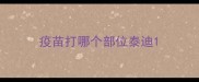 疫苗打哪个部位泰迪