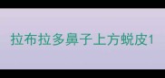 拉布拉多鼻子上方蜕皮