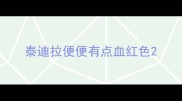 泰迪拉便便有点血红色