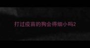 打过疫苗的狗会得细小吗