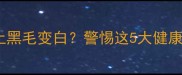 哈士奇背上黑毛变白警惕这5大健康信号