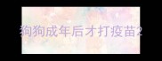 狗狗成年后才打疫苗