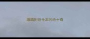 眼睛附近全黑的哈士奇