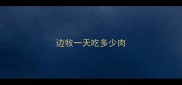边牧一天吃多少肉