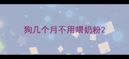 狗几个月不用喂奶粉