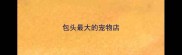 包头最大的宠物店