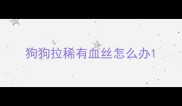 狗狗拉稀有血丝怎么办