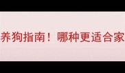 柴犬vs哈士奇最新养狗指南哪种更适合家庭附选狗避坑清单