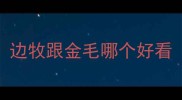 边牧跟金毛哪个好看