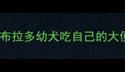 拉布拉多幼犬吃自己的大便