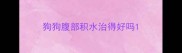 狗狗腹部积水治得好吗