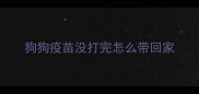 狗狗疫苗没打完怎么带回家