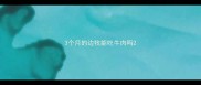 3个月的边牧能吃牛肉吗