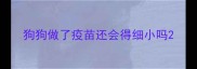 狗狗做了疫苗还会得细小吗
