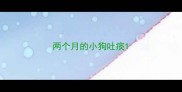 两个月的小狗吐痰