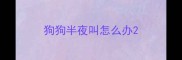 狗狗半夜叫怎么办