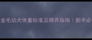两个月大金毛幼犬体重标准及喂养指南新手必看避坑攻略