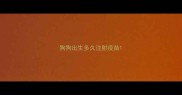 狗狗出生多久注射疫苗