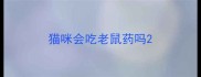 猫咪会吃老鼠药吗