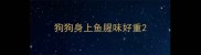 狗狗身上鱼腥味好重