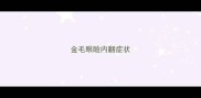 金毛眼睑内翻症状