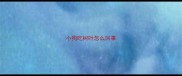 小狗吃树叶怎么回事