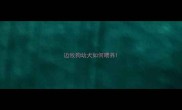边牧狗幼犬如何喂养