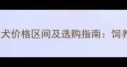 英系金毛犬价格区间及选购指南饲养成本全