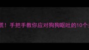吐了别慌手把手教你应对狗狗呕吐的10个关键步骤
