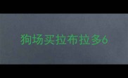 狗场买拉布拉多6