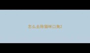 怎么去除猫咪口臭